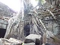 DSC05423.JPG