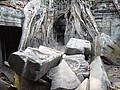 DSC05424.JPG