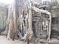 DSC05425.JPG
