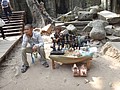 DSC05428.JPG