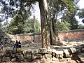 DSC05429.JPG