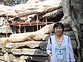 DSC05431.JPG