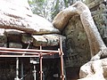 DSC05433.JPG