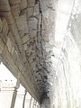 DSC05439.JPG
