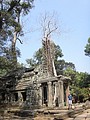 DSC05443.JPG