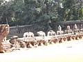 DSC05461.JPG
