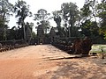 DSC05462.JPG