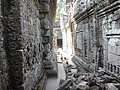 DSC05468.JPG