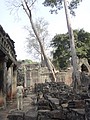 DSC05482.JPG