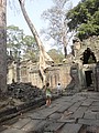 DSC05483.JPG