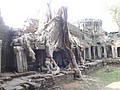 DSC05484.JPG