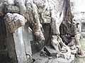 DSC05485.JPG