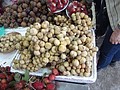 DSC05520.JPG