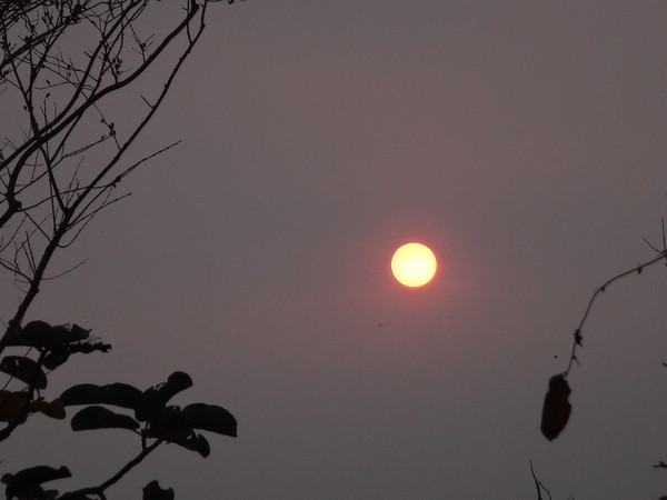 DSC05650.JPG