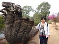 DSC05529.JPG
