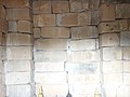 DSC05542.JPG