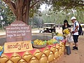 DSC05553.JPG