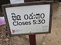 DSC05600.JPG