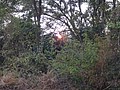 DSC05647.JPG
