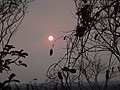 DSC05649.JPG