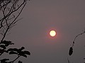DSC05650.JPG