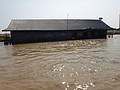 DSC05662.JPG