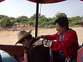 DSC05666.JPG