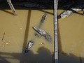 DSC05684.JPG