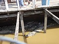 DSC05685.JPG