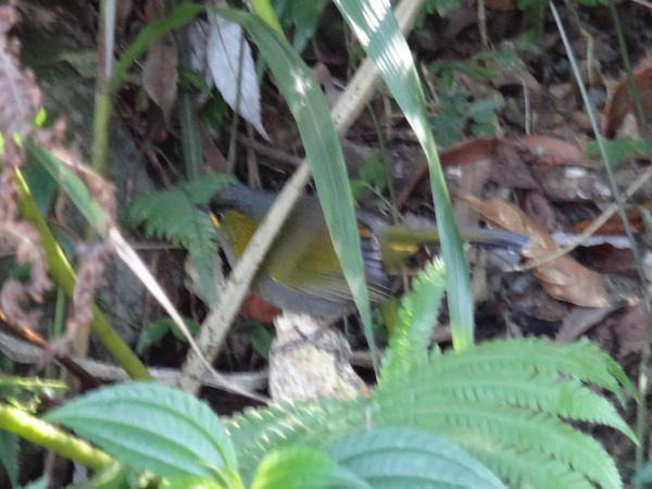 DSC05734.JPG