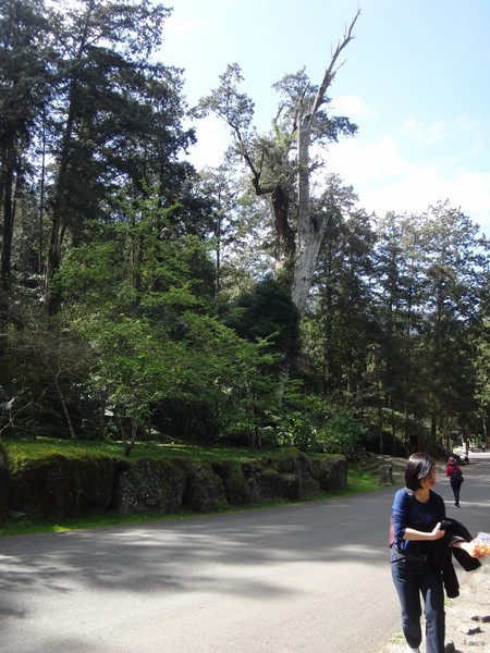 DSC05746.JPG