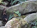 DSC05732.JPG