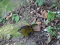 DSC05733.JPG
