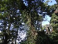 DSC05741.JPG
