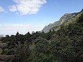 DSC05742.JPG