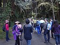 DSC05743.JPG