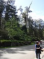 DSC05746.JPG