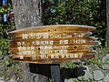 DSC05747.JPG