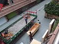 DSC05854.JPG