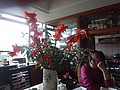 DSC06064.JPG