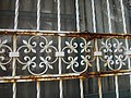 DSC06164.JPG