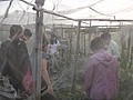DSC06243.JPG