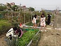 DSC06245.JPG