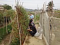 DSC06246.JPG