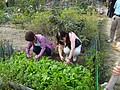 DSC06248.JPG
