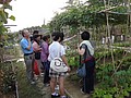 DSC06249.JPG