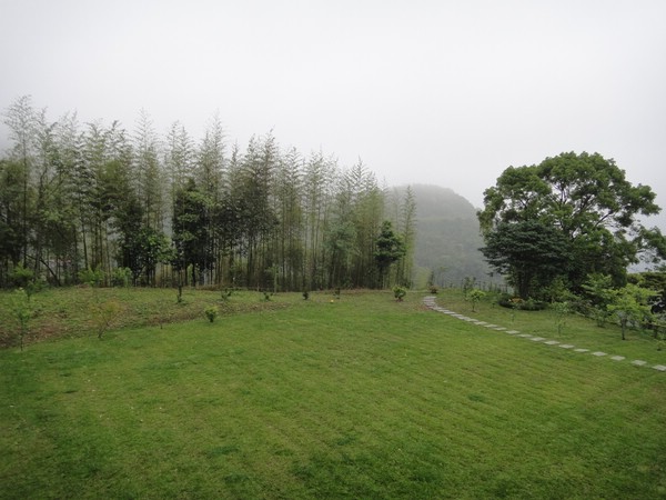 DSC06351-1.JPG