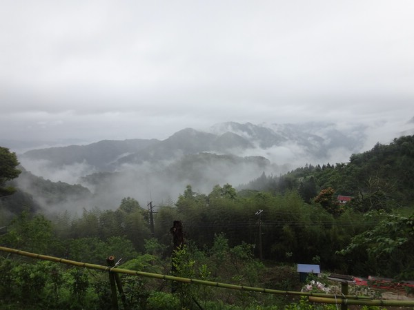 DSC06429-0.JPG
