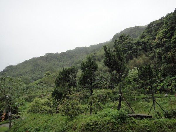 DSC06429-1.JPG