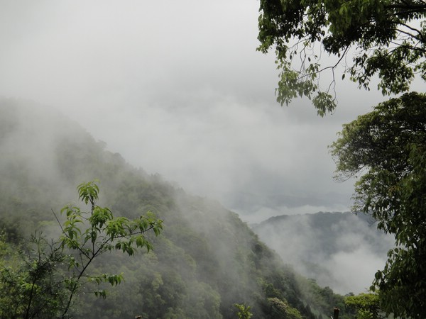 DSC06429-5.JPG